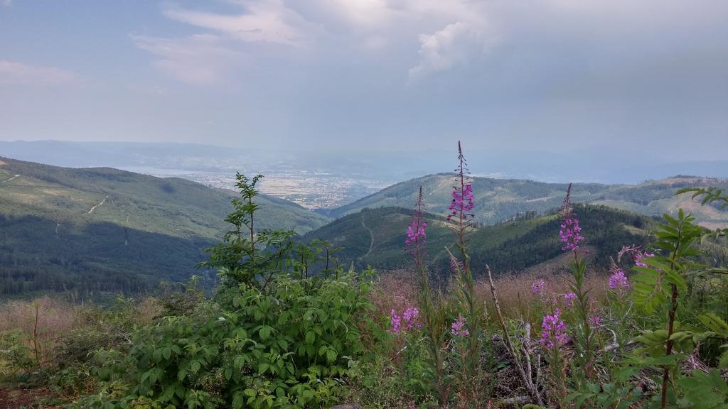 Bed and Breakfast Pod Klimczokiem I Щирк Экстерьер фото